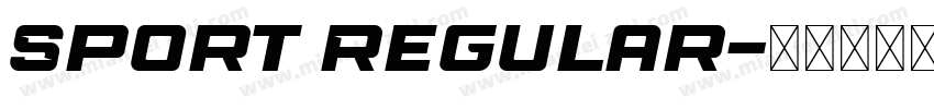Sport Regular字体转换